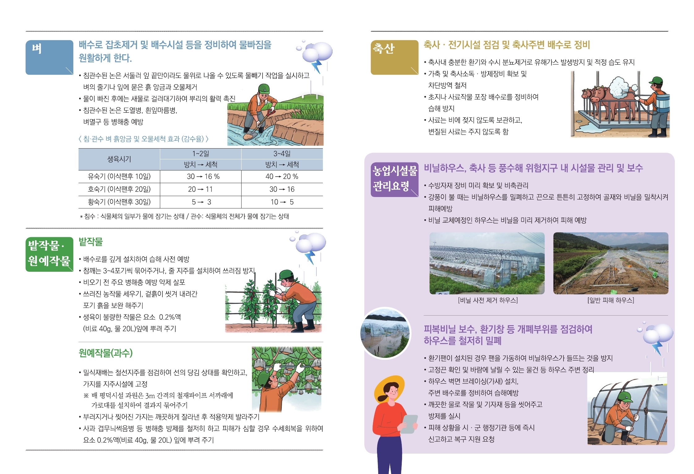 여름철 호우대비 농작물 및 농업시설물 관리요령 이미지 2