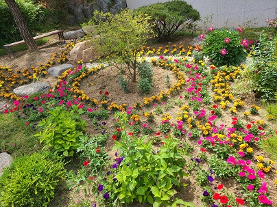 교동행정복지센터의 아름다운 정원 가꾸기 이미지 2