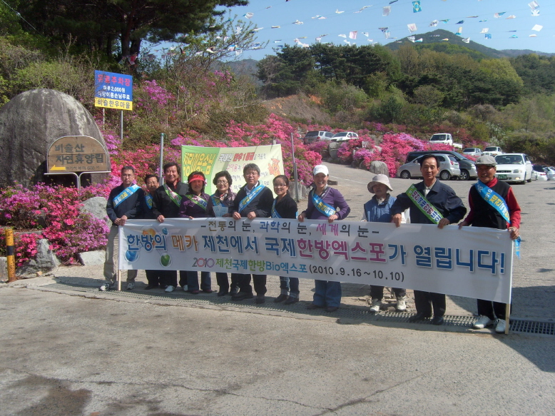 2010 한방엑스포 홍보단 활동 이미지
